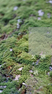 欠網(wǎng)貸公司錢還不上咋辦(欠了網(wǎng)貸還不上)