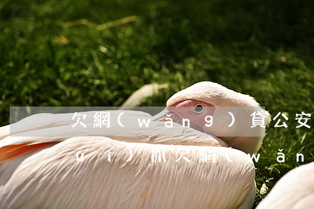 欠網(wǎng)貸公安來抓人(警察會(huì)抓欠網(wǎng)貸的人嗎)