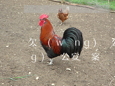欠網(wǎng)貸公安備案(欠網(wǎng)貸公安備案)