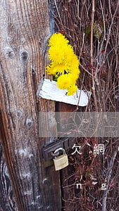 欠網(wǎng)貸公安會上門嗎(網(wǎng)貸欠款警察會上門嗎)