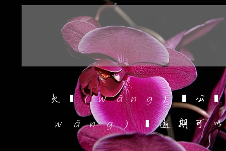欠網(wǎng)貸公積金可以用嗎(欠網(wǎng)貸逾期可以提取公積金嗎)