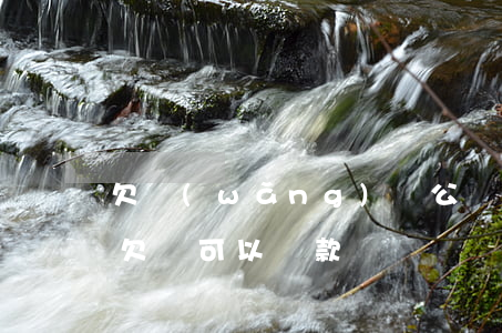 欠網(wǎng)貸公積金貸款不了(公積金欠繳可以貸款嗎)