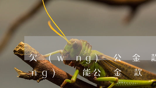 欠網(wǎng)貸公積金貸款(欠網(wǎng)貸還能公積金貸款嗎)