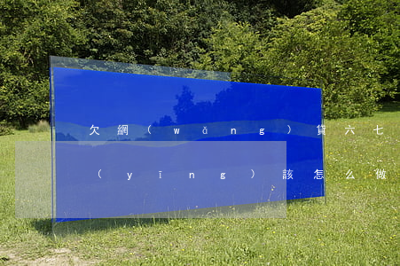 欠網(wǎng)貸六七萬(wàn)我應(yīng)該怎么做(欠7萬(wàn)網(wǎng)貸怎么辦)
