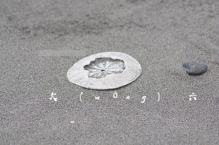 欠網(wǎng)貸六個月然后還全款會怎樣-