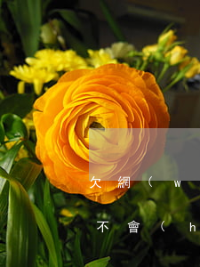 欠網(wǎng)貸六千三年會(huì)不會(huì)坐牢(欠兩三萬(wàn)網(wǎng)貸用坐牢嗎)