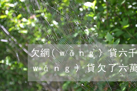 欠網(wǎng)貸六千五會不會坐牢(網(wǎng)貸欠了六萬)