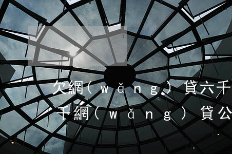 欠網(wǎng)貸六千元會被起訴嗎(欠六千網(wǎng)貸公司會起訴嗎)