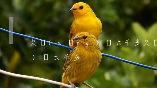 欠網(wǎng)貸六千多(欠網(wǎng)貸六千多)