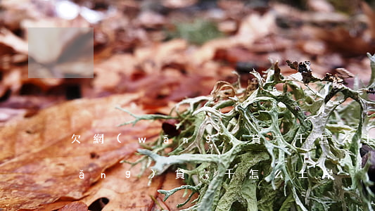 欠網(wǎng)貸六千怎么上岸(欠網(wǎng)貸六千怎么上岸)