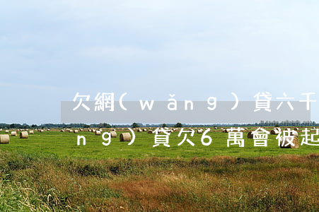欠網(wǎng)貸六千會被起訴(網(wǎng)貸欠6萬會被起訴嗎)