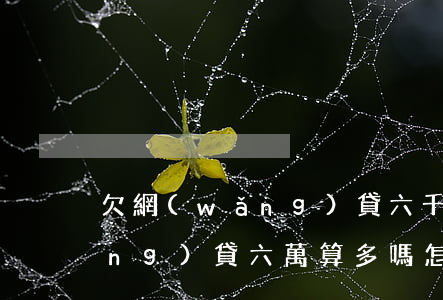 欠網(wǎng)貸六千算多嗎(欠網(wǎng)貸六萬算多嗎怎么辦)