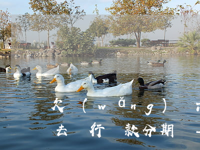 欠網(wǎng)貸六萬(wàn)多可以去銀行貸款分期嗎-欠網(wǎng)貸六萬(wàn)多可以去銀行貸款分期嗎