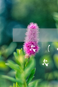 欠網(wǎng)貸六萬會(huì)怎么樣(欠網(wǎng)貸六千元不還會(huì)怎樣)