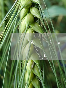 欠網(wǎng)貸六萬(欠網(wǎng)貸六萬)