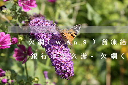 欠網(wǎng)貸凍結(jié)微信和銀行卡怎么辦-欠網(wǎng)貸凍結(jié)微信和銀行卡怎么辦呢
