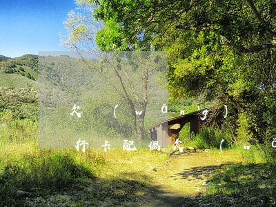 欠網(wǎng)貸凍結(jié)配偶銀行卡(配偶欠網(wǎng)貸會(huì)凍結(jié)我的卡嗎?)