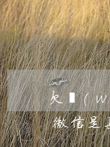 欠網(wǎng)貸凍結(jié)銀行卡微信是真的嗎-欠網(wǎng)貸凍結(jié)銀行卡微信是真的嗎安全嗎