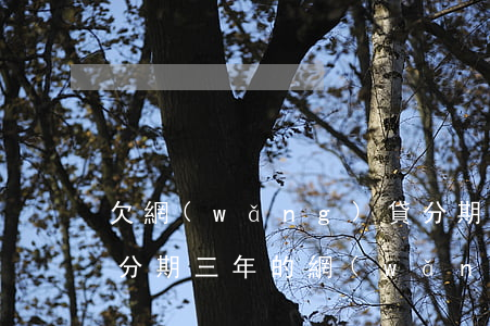 欠網(wǎng)貸分期三萬怎么還(有沒有分期三年的網(wǎng)貸)