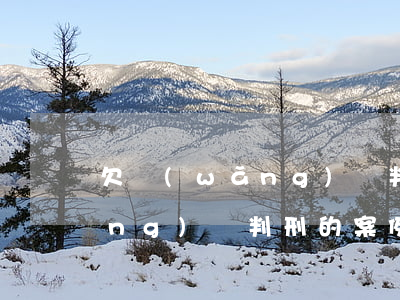 欠網(wǎng)貸判刑的案例(欠網(wǎng)貸判刑的案例)