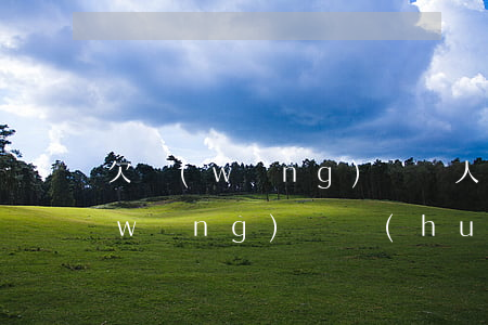 欠網(wǎng)貸別人把我車賣了(欠網(wǎng)貸會(huì)拍賣我車子嗎)