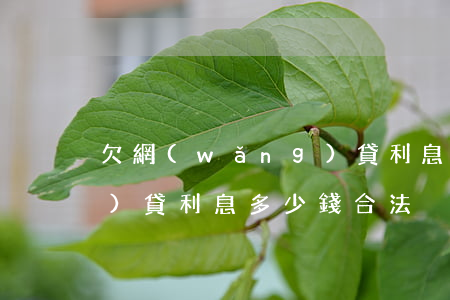 欠網(wǎng)貸利息多少(網(wǎng)貸利息多少錢合法)