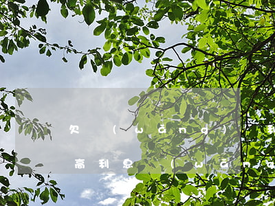 欠網(wǎng)貸利息太高不還可以嗎(欠高利息網(wǎng)貸不還會(huì)怎么樣)