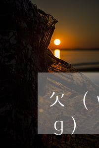 欠網(wǎng)貸利息太高(欠網(wǎng)貸太多)