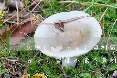欠網(wǎng)貸利息要不要還(網(wǎng)貸能不能不還利息)