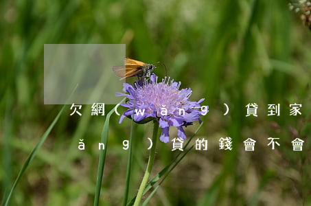 欠網(wǎng)貸到家里面要錢(欠網(wǎng)貸的錢會不會上門)