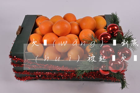 欠網(wǎng)貸到底會(huì)不會(huì)被起訴(欠網(wǎng)貸被起訴會(huì)有什么后果)