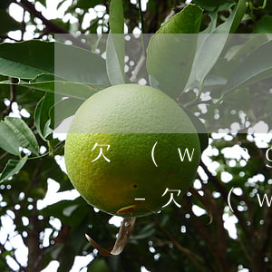 欠網(wǎng)貸十二萬月薪一萬二怎么還-欠網(wǎng)貸十二萬月薪一萬二怎么還款