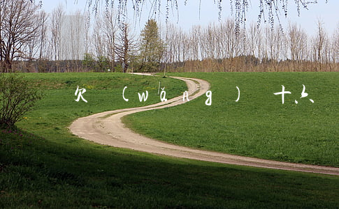 欠網(wǎng)貸十六萬老婆跑路了