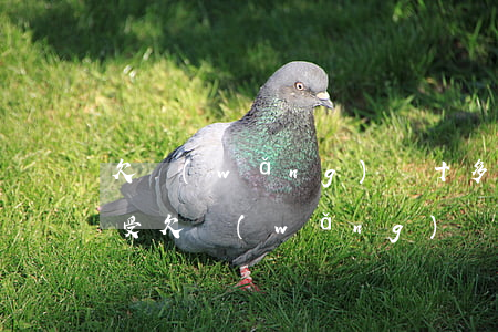 欠網(wǎng)貸十多萬(wàn)的感受(欠網(wǎng)貸十幾萬(wàn)該怎么辦)