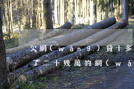 欠網(wǎng)貸十多萬還不起怎么辦(欠了二十幾萬的網(wǎng)貸還不起了怎么辦)