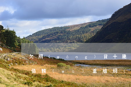 欠網(wǎng)貸十幾萬(wàn)怎么債務(wù)重組(網(wǎng)貸欠款幾十萬(wàn)怎么辦)