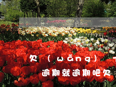 欠網(wǎng)貸十幾萬(wàn)沒錢還逾期就逾期吧(欠網(wǎng)貸十幾萬(wàn)沒錢還逾期就逾期吧)