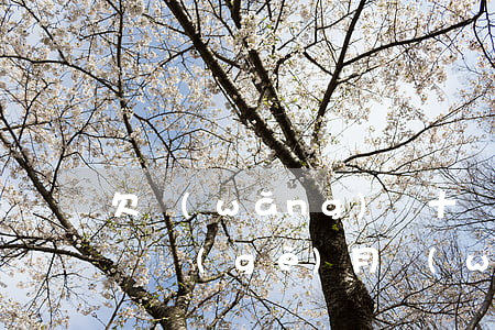 欠網(wǎng)貸十幾萬(wàn)逾期幾個(gè)月(網(wǎng)貸逾期十幾天會(huì)怎么樣)