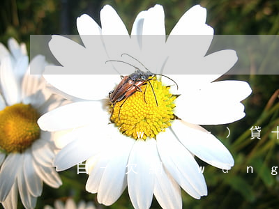 欠網(wǎng)貸十幾萬怎么和家里人坦白-欠網(wǎng)貸十幾萬怎么和家里人坦白呢