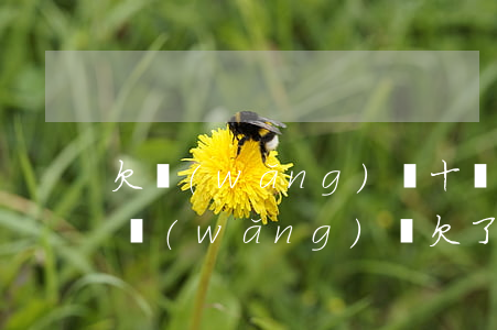 欠網(wǎng)貸十幾萬還不起了怎么辦(網(wǎng)貸欠了10多萬還不起怎么辦)