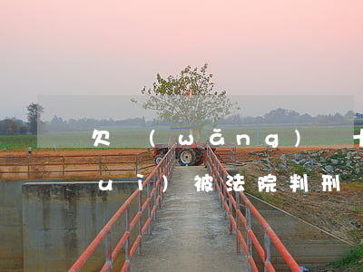欠網(wǎng)貸十萬(wàn)會(huì)被法院判刑嗎(欠網(wǎng)貸10萬(wàn)要坐幾年牢)