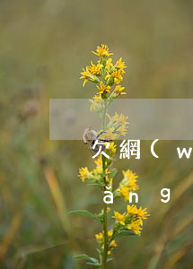欠網(wǎng)貸十萬不還怎么辦 網(wǎng)貸欠了十萬還不上怎么辦