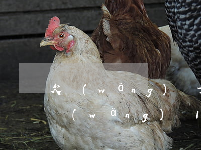 欠網(wǎng)貸十萬怎么給家里交代(欠網(wǎng)貸10幾萬我要怎么辦)