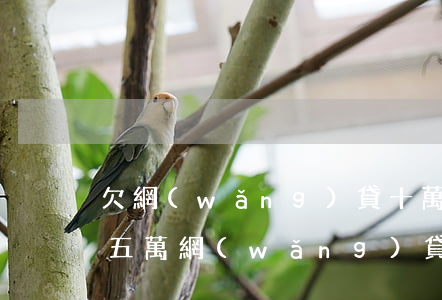 欠網(wǎng)貸十萬怎么能不逾期(欠十五萬網(wǎng)貸逾期怎么辦)