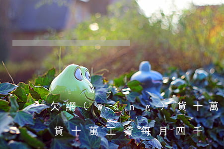 欠網(wǎng)貸 十萬(欠網(wǎng)貸十萬工資每月四千)