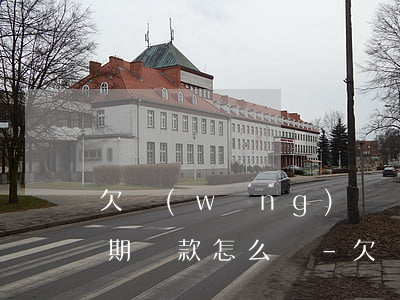 欠網(wǎng)貸協(xié)商不了延期還款怎么辦-欠網(wǎng)貸協(xié)商不了延期還款怎么辦呢