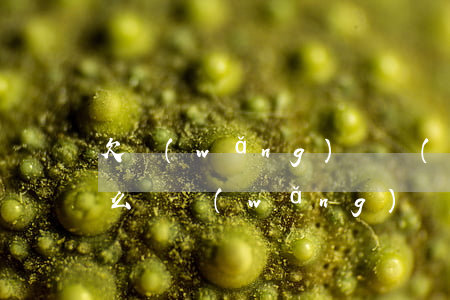 欠網(wǎng)貸協(xié)商不了怎么辦(網(wǎng)貸協(xié)商還款不同意怎么辦)