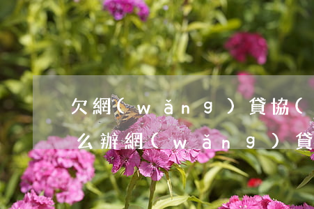 欠網(wǎng)貸協(xié)商還款怎么辦(網(wǎng)貸逾期怎么去協(xié)商還款)
