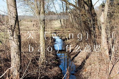 欠網(wǎng)貸協(xié)查通報(bào)什么意思(網(wǎng)貸逾期找誰協(xié)商管用)