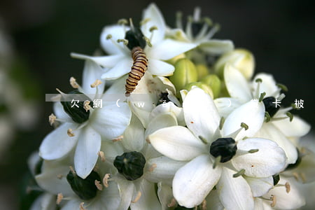 欠網(wǎng)貸卡被凍結(jié)了